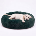Hundebett WOLKE Grün