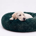 Welpe liegt auf der Seite im grünen Plüsch-Hundebett WOLKE