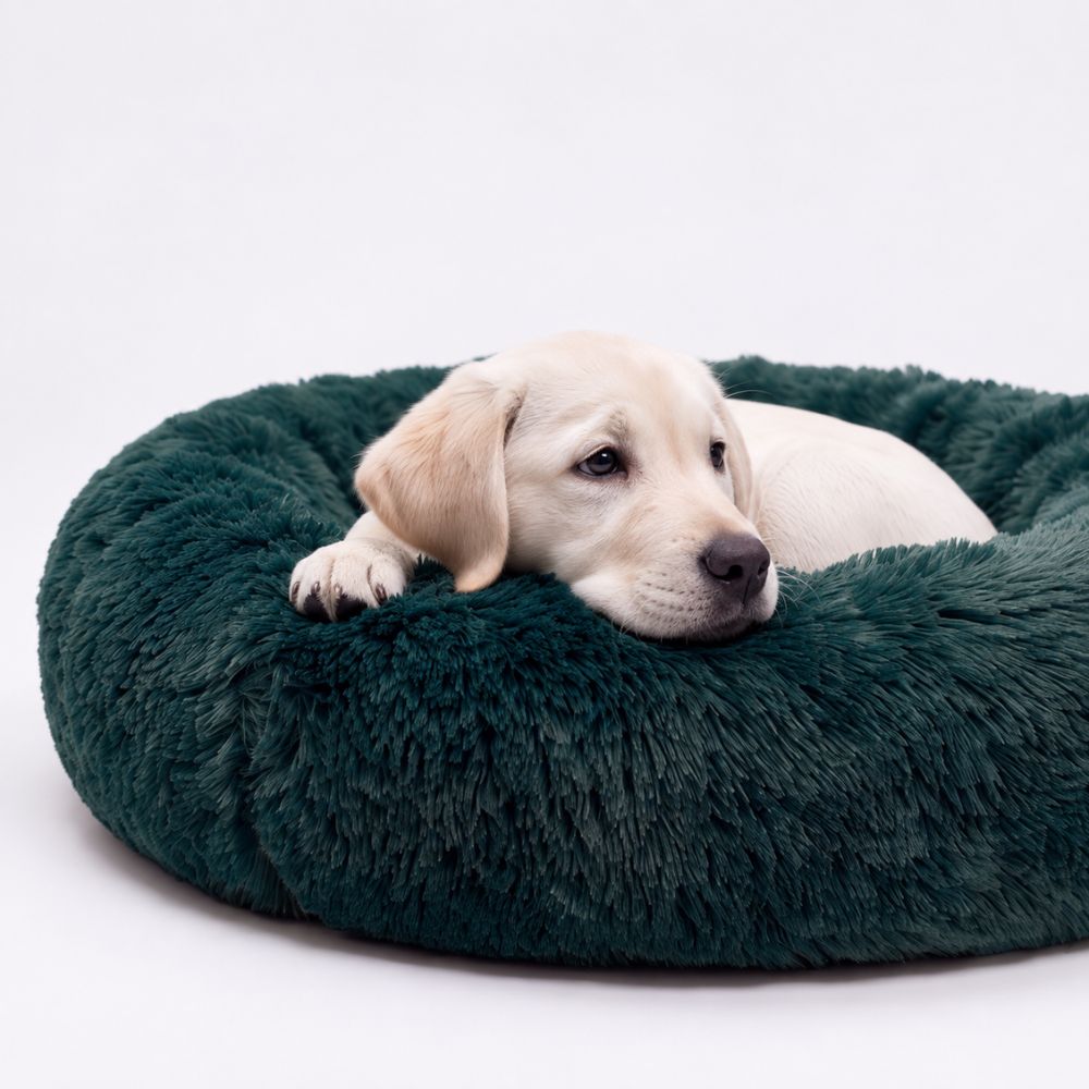 Welpe liegt auf der Seite im grünen Plüsch-Hundebett WOLKE