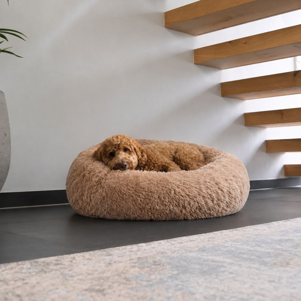 Hundebett WOLKE Plüsch Beige