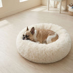 Hundebett WOLKE Plüsch Creme
