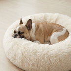 Hundebett WOLKE Plüsch Creme