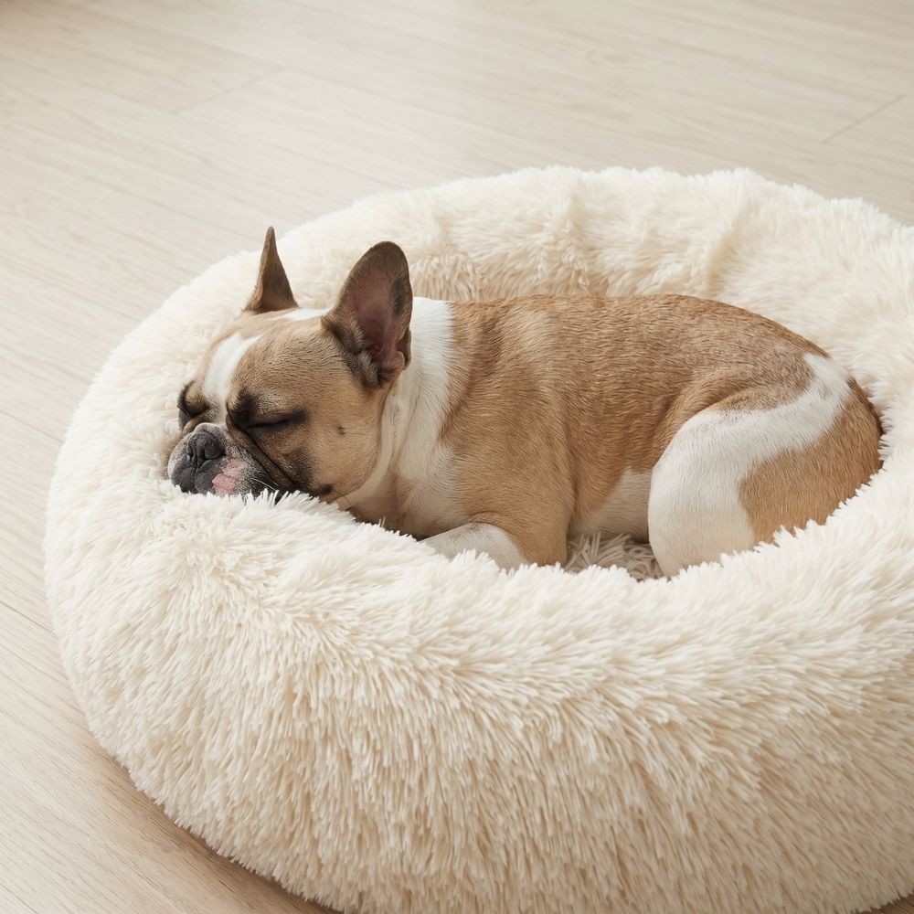 Hundebett WOLKE Plüsch Creme