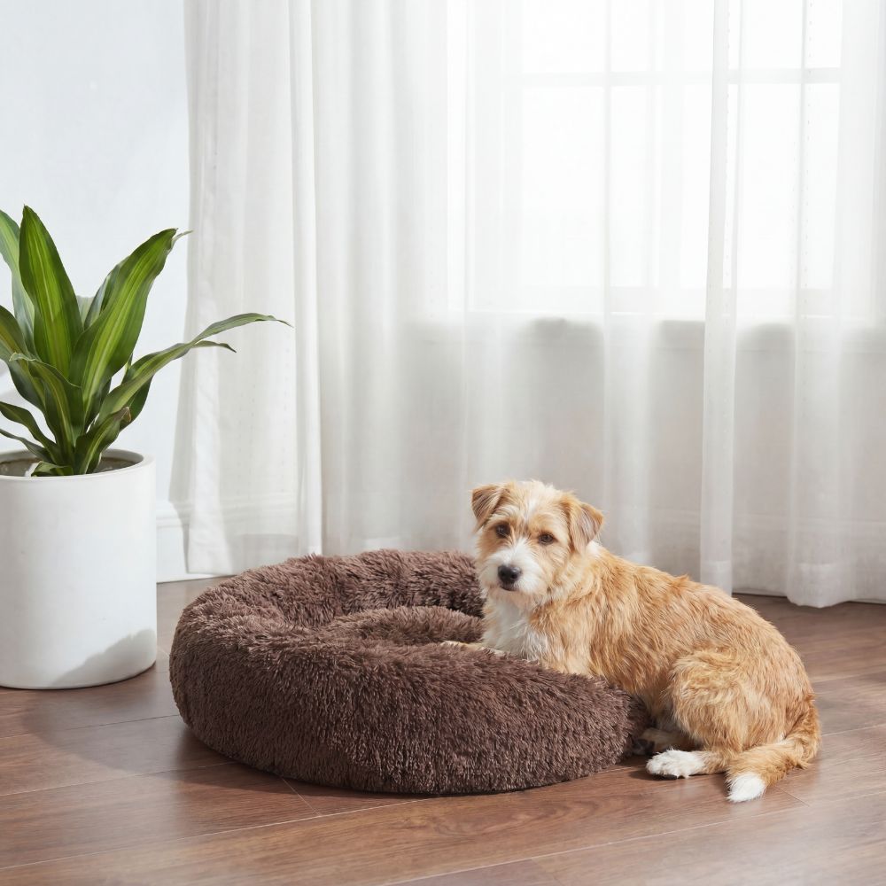Kleiner Hund liegt im runden Hundebett Wolke in Braun
