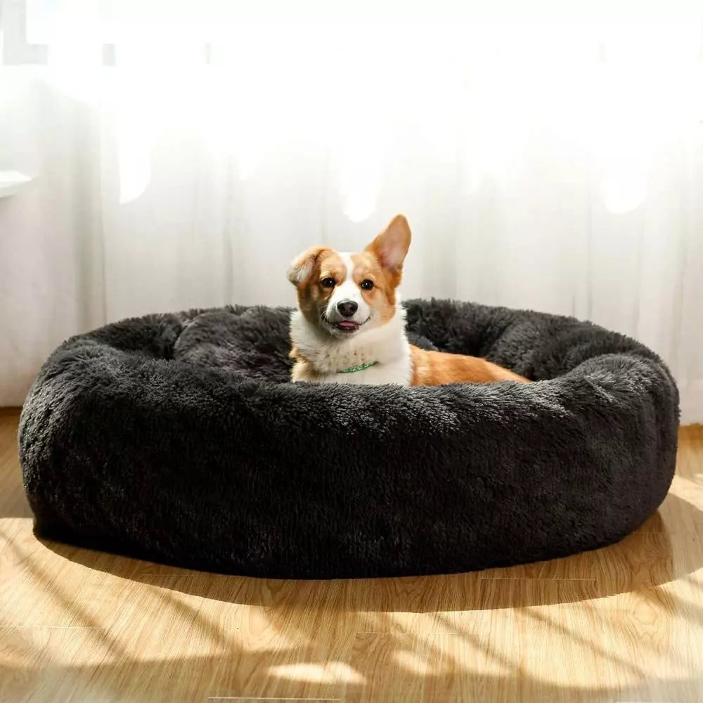 Hundebett WOLKE Plüsch Beige