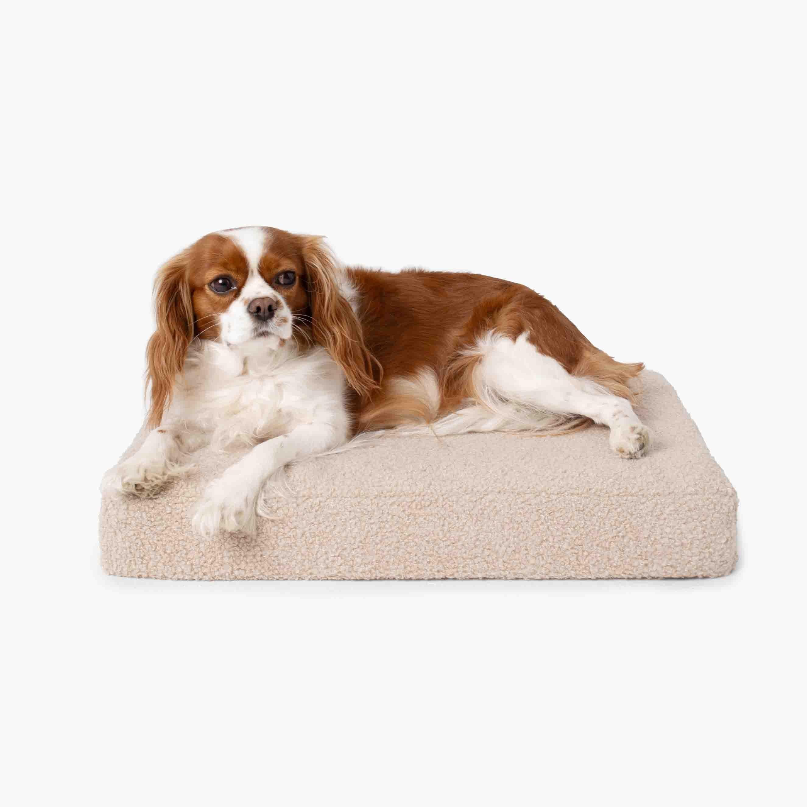 Orthopädisches Hundebett ROYAL aus Bouclé - Beige