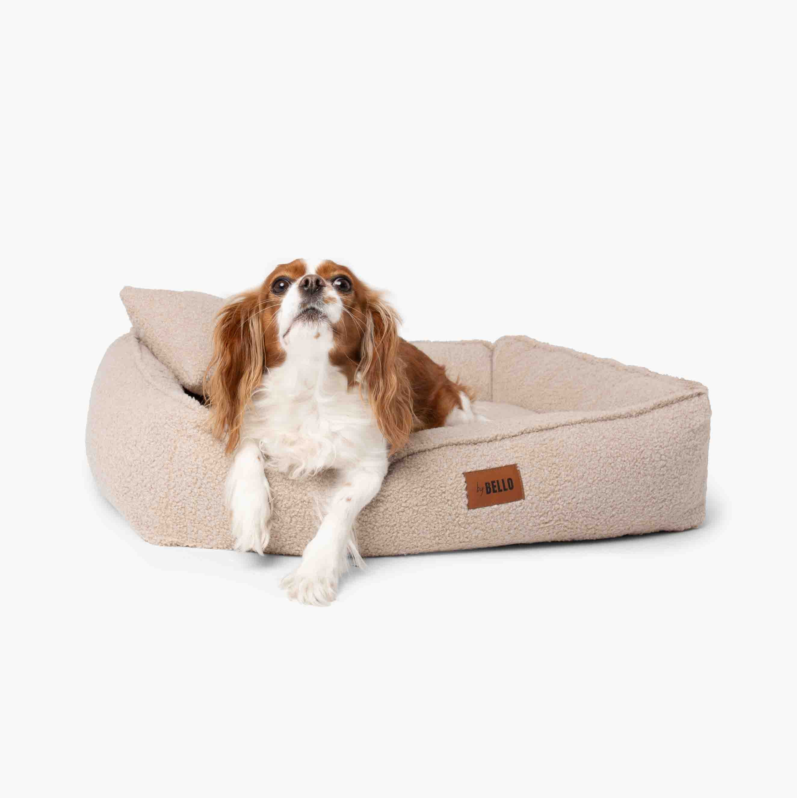Orthopädisches Hundebett ROYAL aus Bouclé - Beige