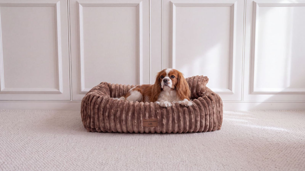 Hundebett BELLO Cord Beige