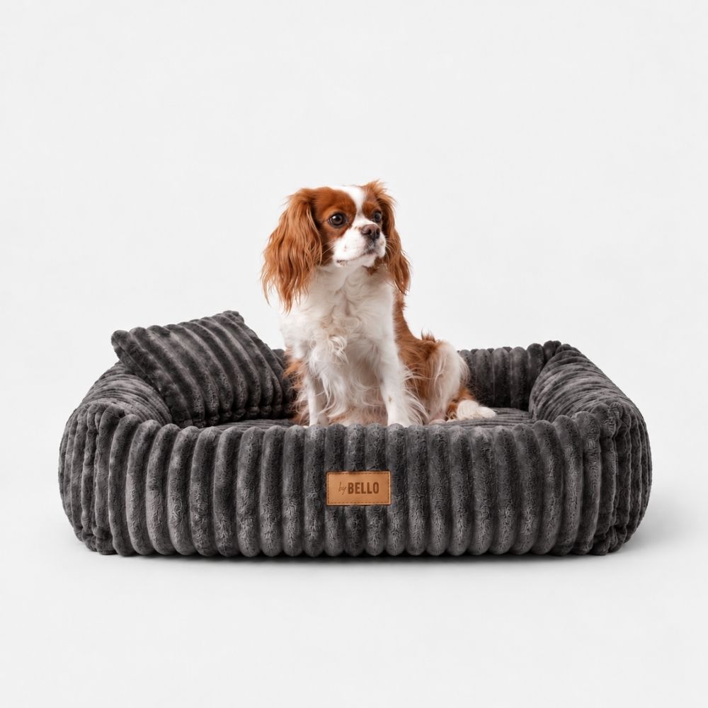 Hundebett BELLO Dunkelgrau