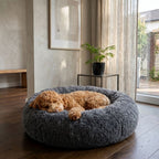 Hundebett WOLKE Plüsch Beige