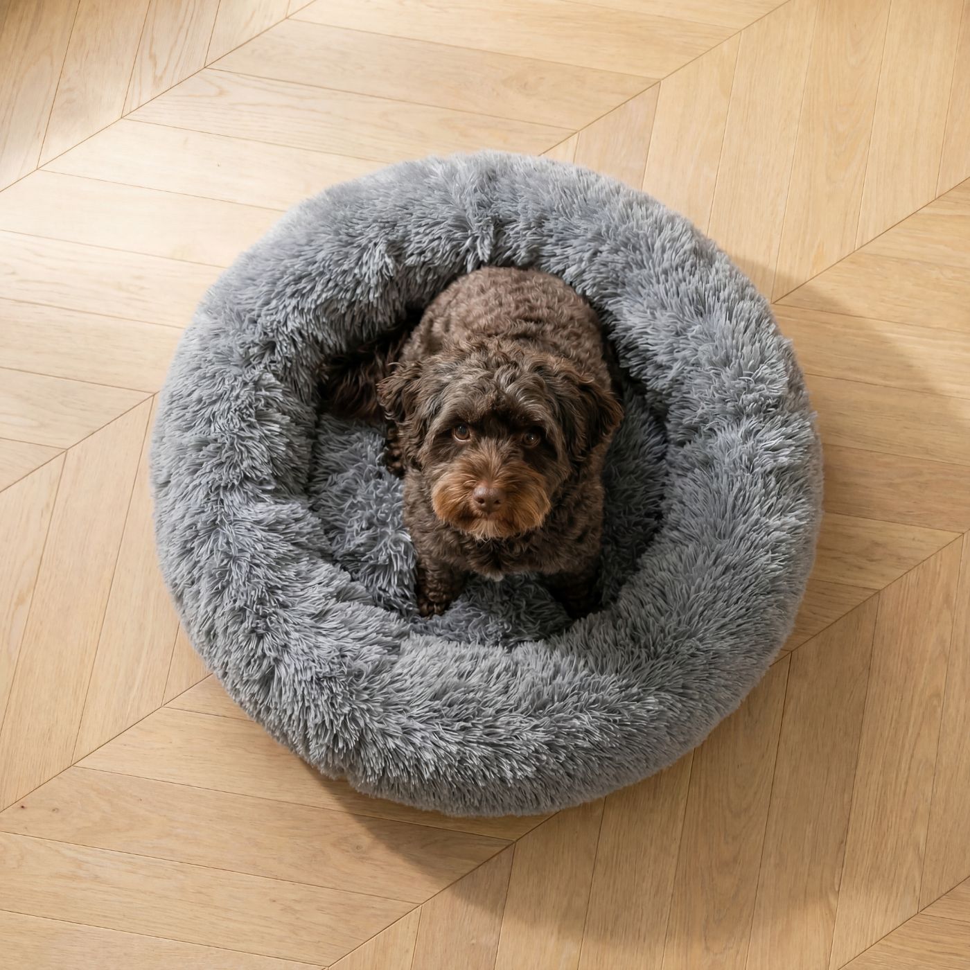 Hundebett Plüsch Wolke PREMIUM Dunkelgrau