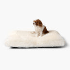 Plüschkissen Hundebett MIA