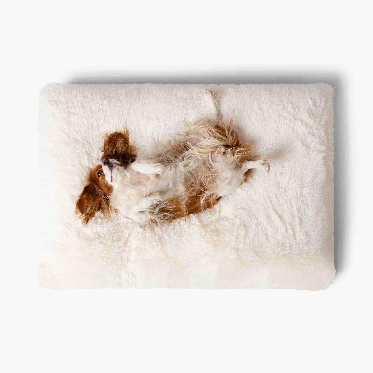 Plüschkissen Hundebett MIA