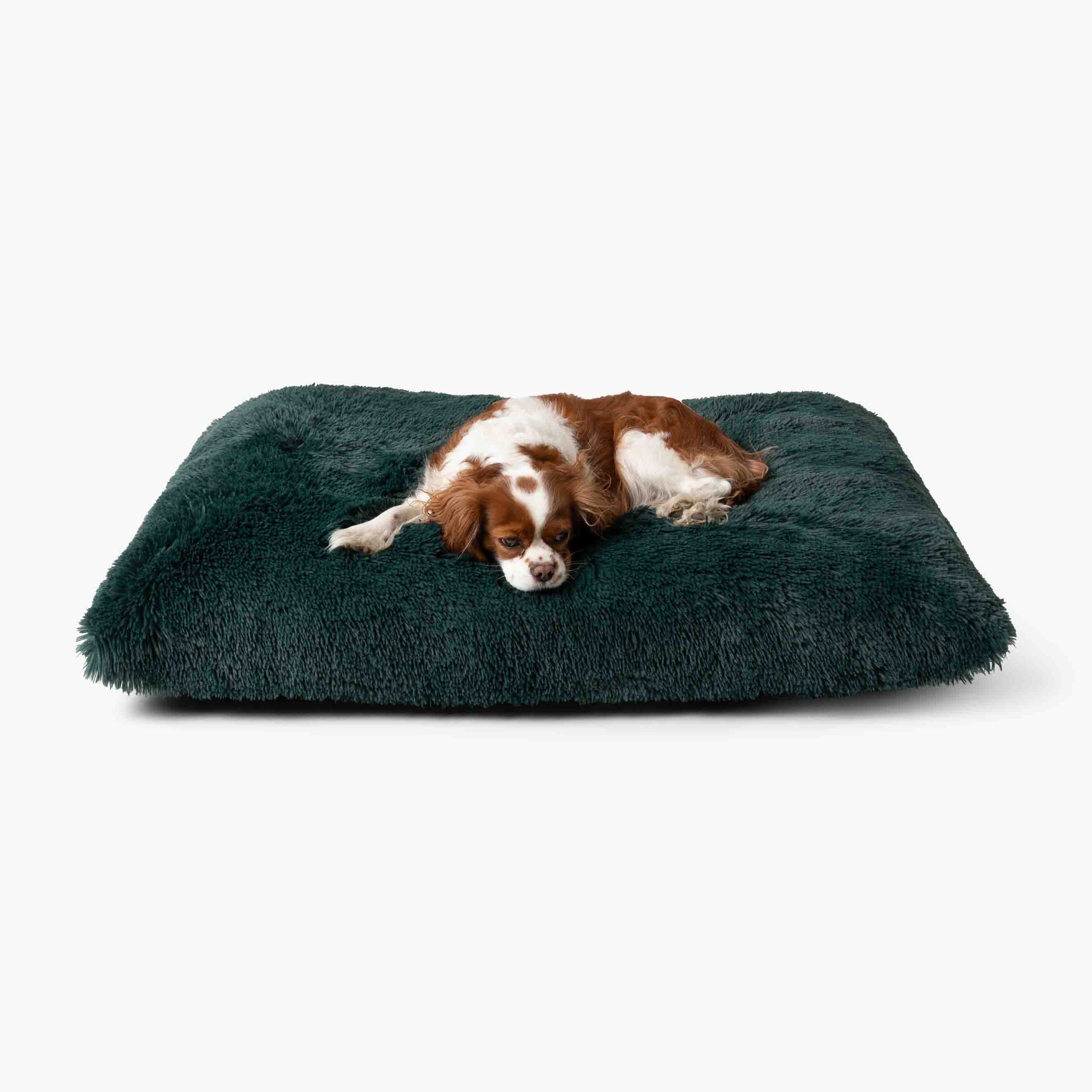 Plüschkissen Hundebett MIA