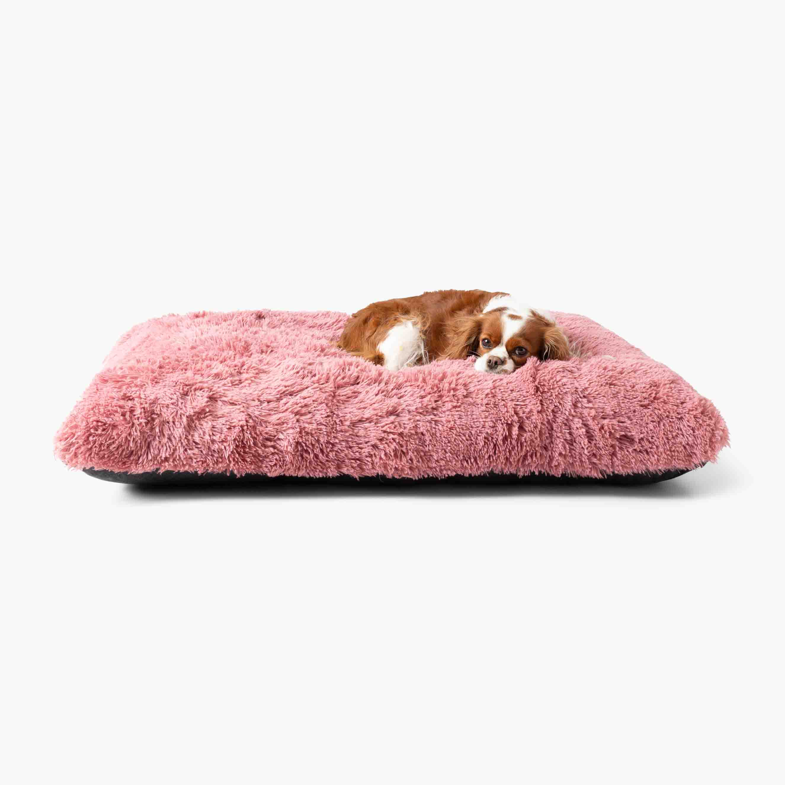Plüschkissen Hundebett MIA
