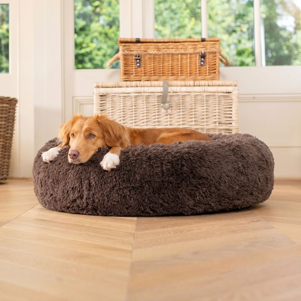 Hundebett WOLKE Plüsch Beige