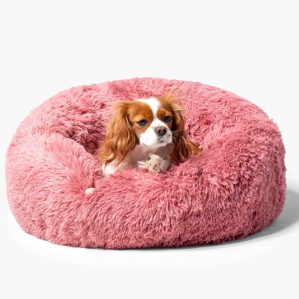 Hundebett WOLKE Plüsch Beige