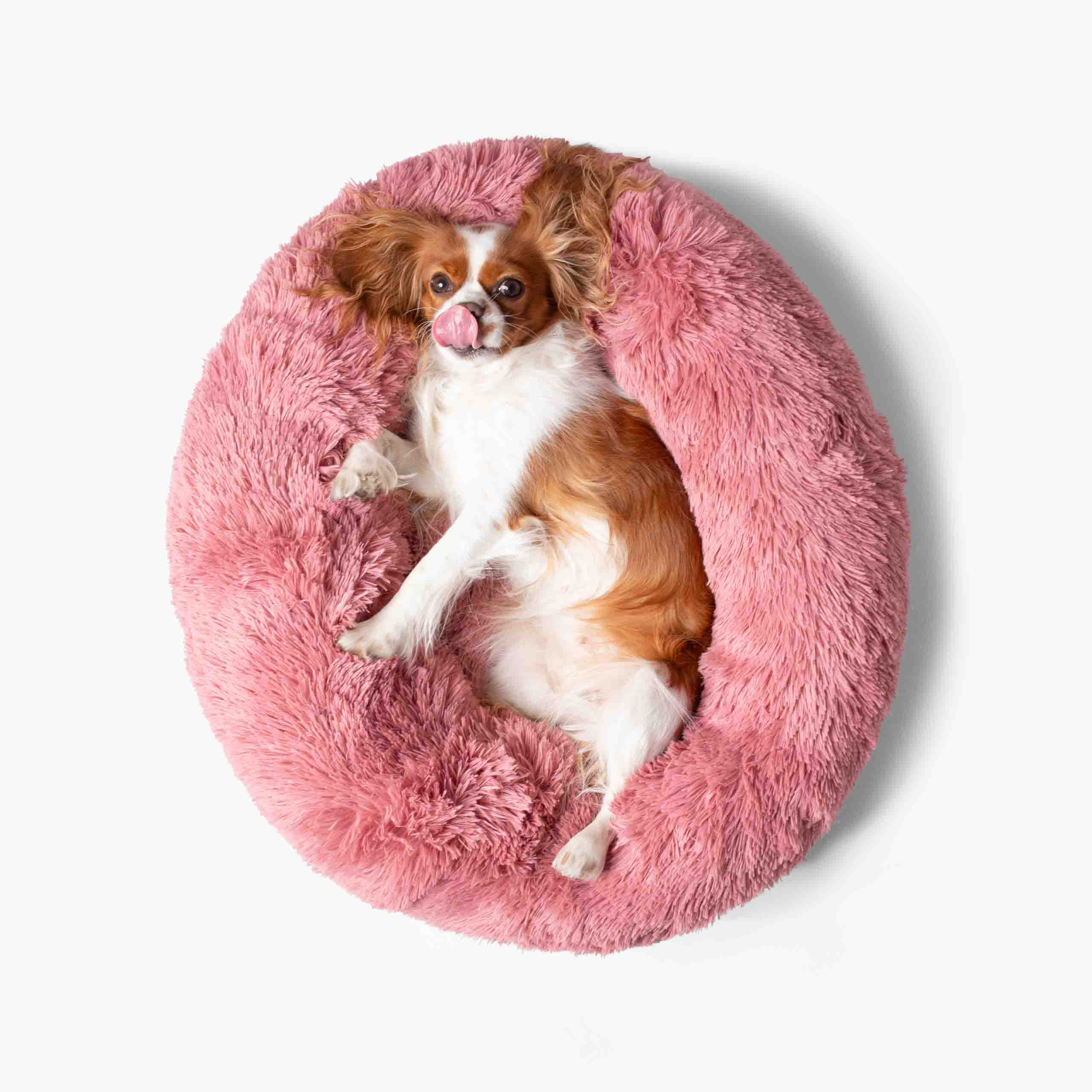 Hundebett WOLKE Plüsch Beige