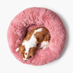 Hundebett WOLKE Plüsch Beige