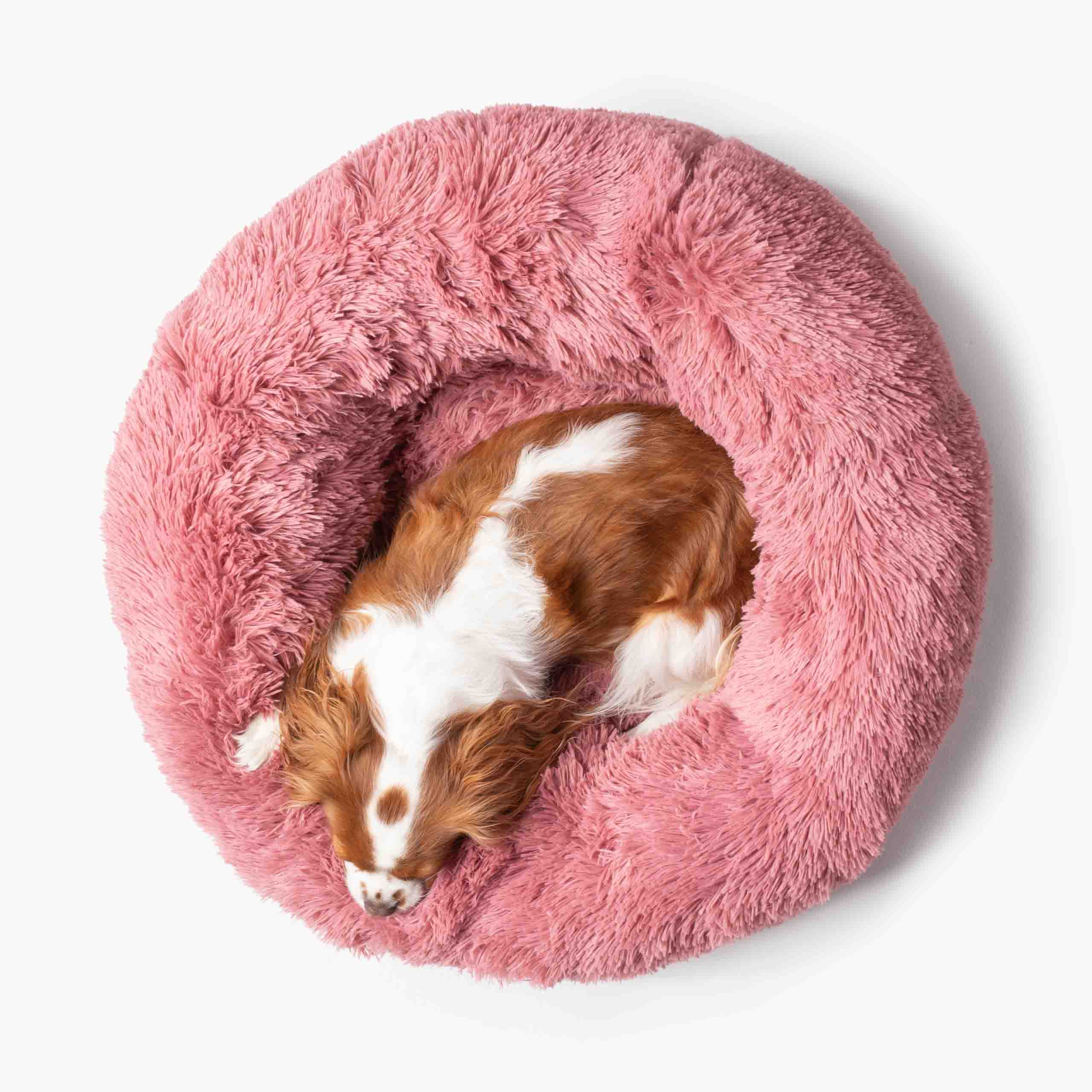 Hundebett WOLKE Plüsch Beige