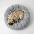 Hundebett WOLKE Plüsch Beige