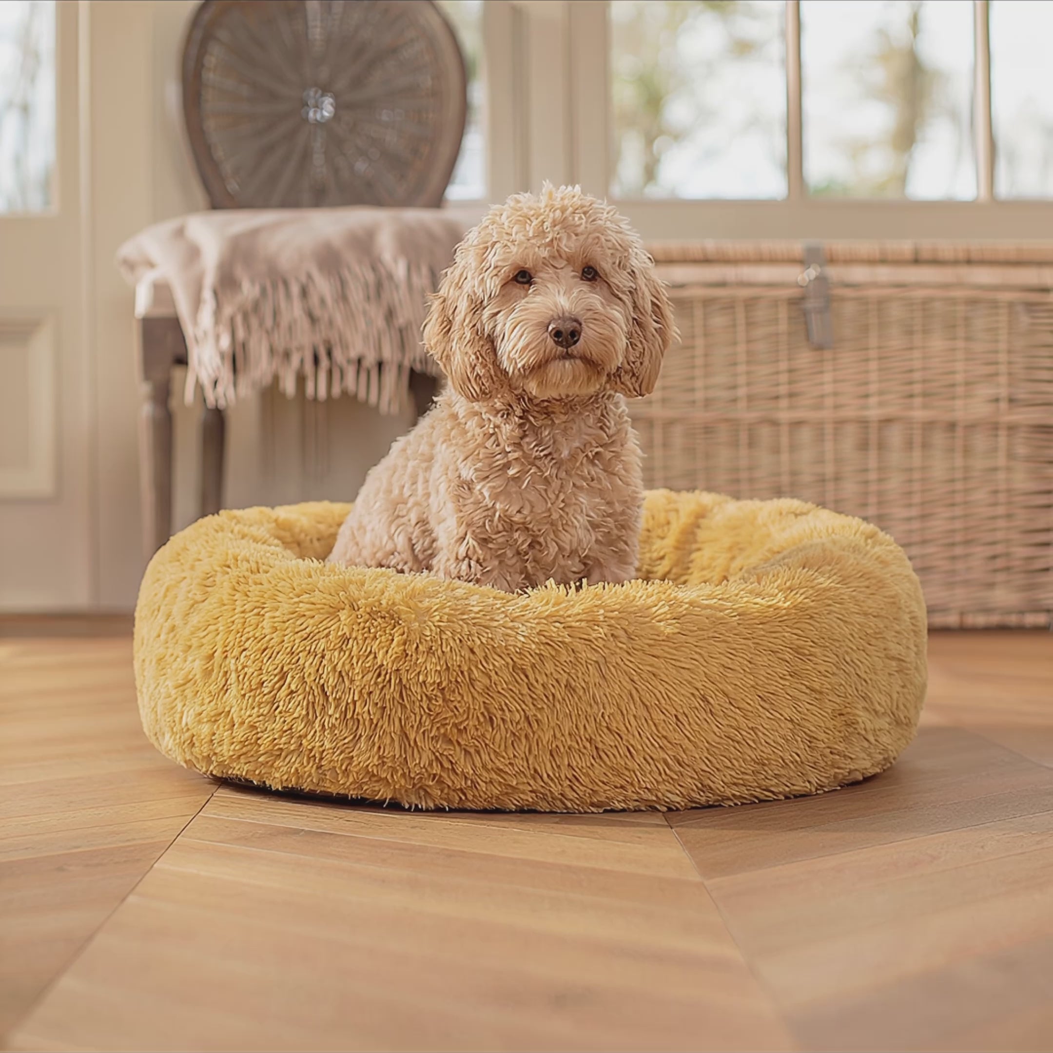 Hundebett Plüsch Wolke PREMIUM Honig