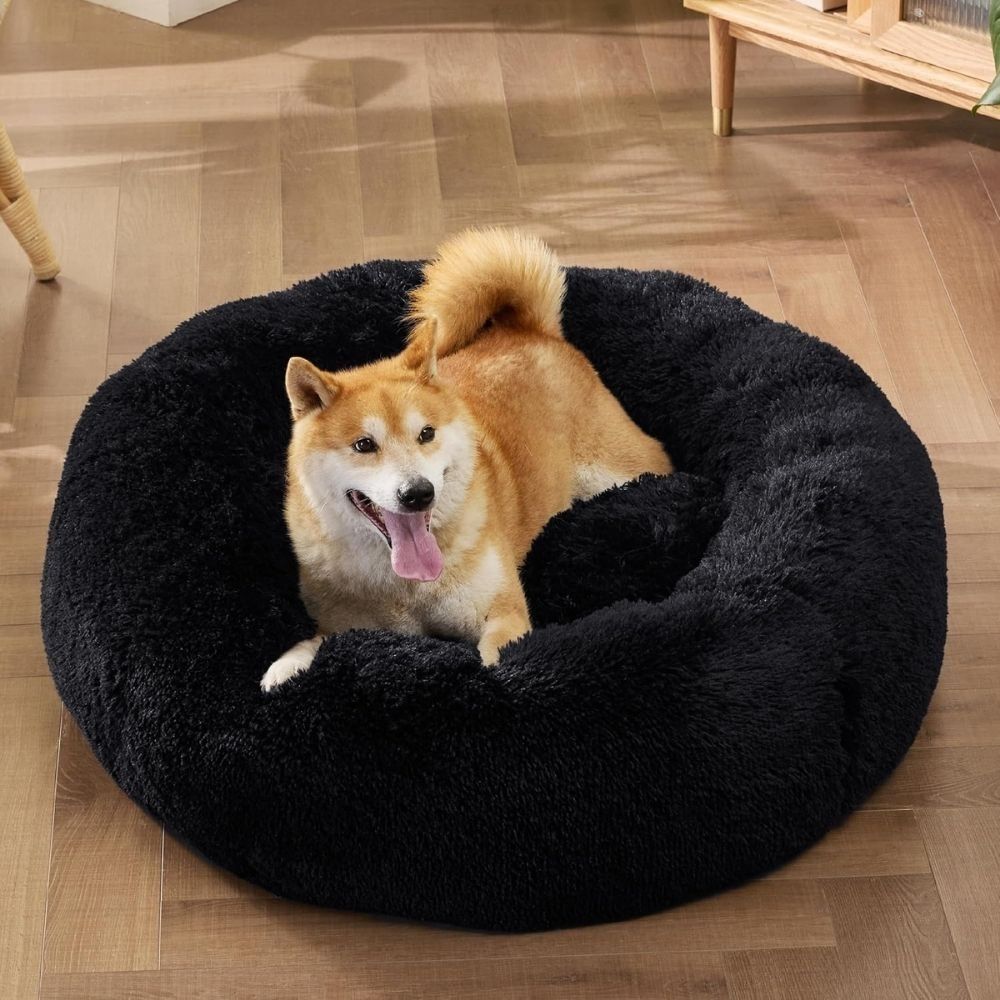 Shiba Inu entspannt im schwarzen Hundebett aus flauschigem Plüsch
